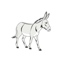 donkey vector art and illustration 