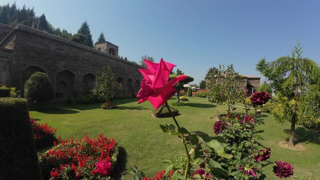Image of flowers showcasing the Pari Mahal walls and garden fortifications in the background.