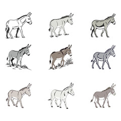 donkey vector art and illustration 