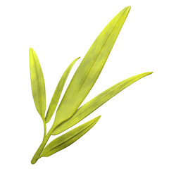 Explore our captivating 3D Icon Set featuring stunning illustrations of rice fields.