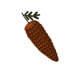 Pine cone. Conifer pinecone, brown wood seasonal decoration. Botanical decorative design element, forest tree decor. Organic natural coniferous flat vector illustration isolated on white background