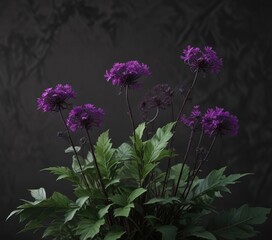 Dark green leaves and purple stems of the Black Rampion Phyteuma Nigrum plant , leaf arrangement, purple stem