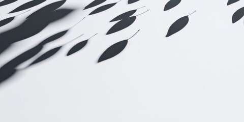 Obraz premium Contrast banner showcasing drifting seeds and clean shadows inviting creative exploration and thoughtful design opportunities