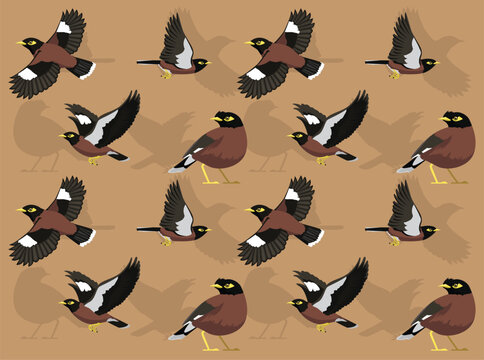 Myna Common Bird Flying Cartoon Character Seamless Wallpaper Background