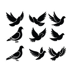 Obraz premium Pigeon bird silhouette vector bundle on white background