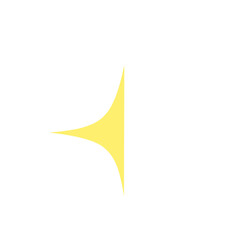 Fototapeta premium Half single star Vector 