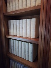 wooden shelves with books © Alona 
