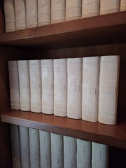 old books on the shelf © Alona 