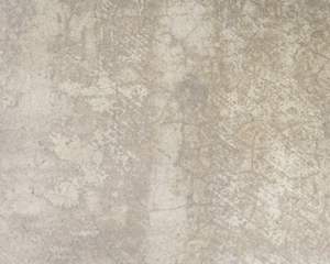 light series background gray wall neutral background