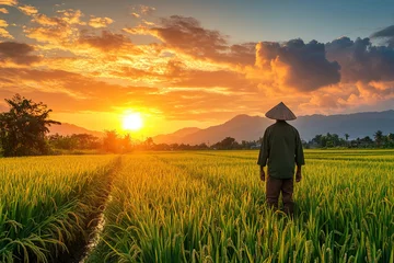 Young asian farmer in bamboo hat working in rice fields at evening sunset. Beautiful natural landscape of asia. Generated by artificial intelligence