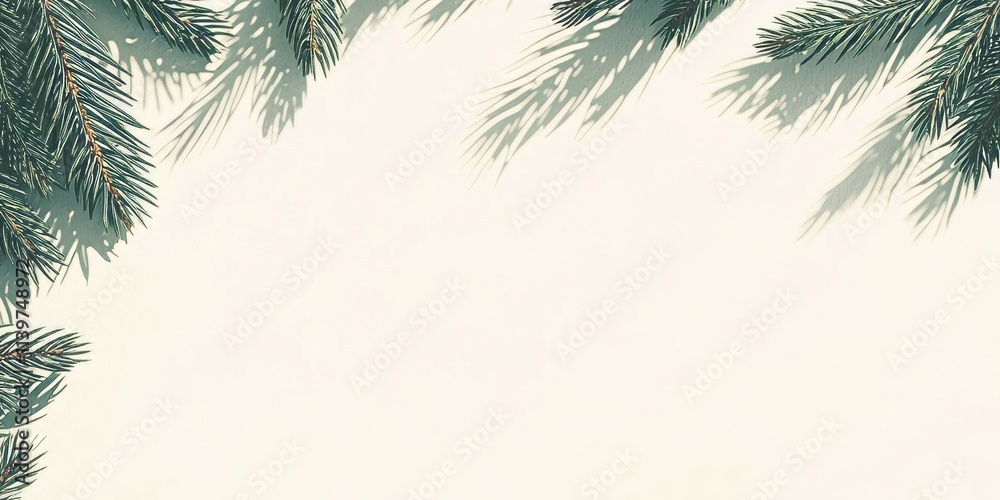 Poster contrast banner featuring spiky pine needles creating a natural frame for empty space