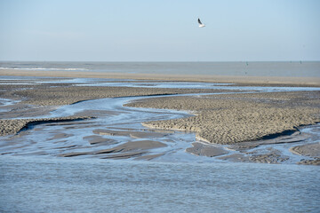 La pointe du Hourdel en Baie de Somme, la plage © Jean-Marc RICHARD
