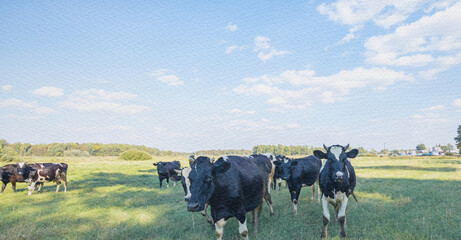 Herd of cows are grazing in a field