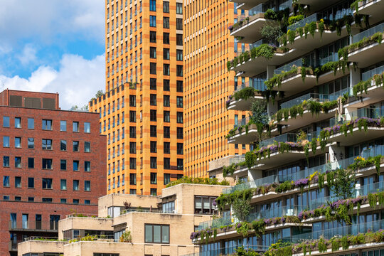 This image showcases a striking modern building facade that integrates organic elements, symbolizing the harmony between nature and architecture in urban spaces in Amsterdam