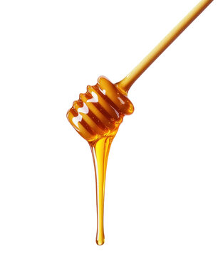 Dripping Honey on a Wooden Dipper