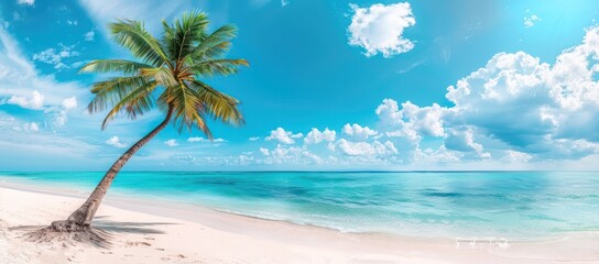serene beach scene featuring a lone palm tree against a vibrant blue sky and tranquil turquoise waters