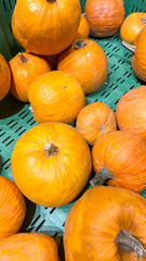 A collection of bright orange pumpkins in a green crate, perfect for autumn harvest and Halloween celebrations