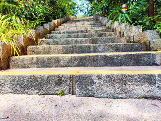 Obraz premium Stairway curving gently upward through lush vegetation in bright daylight