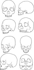 Set of skull Illustration, handdrawn vector image. Vector set