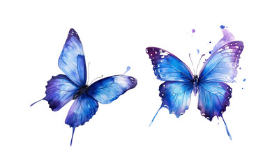 Fototapeta premium Beautiful watercolor painting of a blue butterfly on a white background