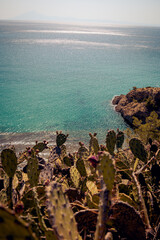 Scenic ocean view cliffside with lush greenery landscape.