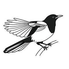 bird on a branch