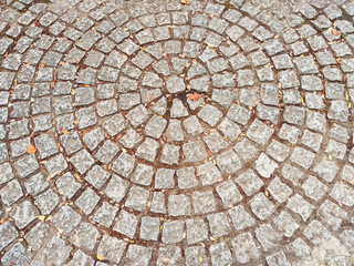 Circular stone pattern on a path with leaves scattered, creating a natural and soothing atmosphere