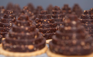 Tree-shaped chocolate cookies, resting on a biscuit surface - selective focus and gray background.