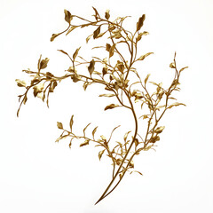 3D rendered illustration of golden branches/flora isolated on transparent background