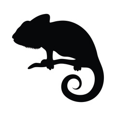 Chameleon vector silhouette illustration isolated on a white background © Flyillustrations