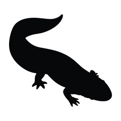 Obraz premium Mudpuppy black silhouette illustration isolated on a white background