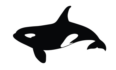 Orca vector silhouette illustration isolated on a white background