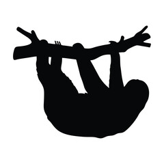 Sloth hanging from a tree branch silhouette illustration isolated on a white background © Flyillustrations
