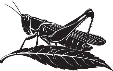 grasshopper on a branch