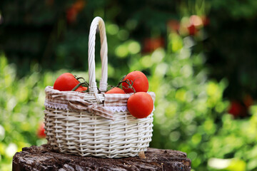 red tomatoes in a basket