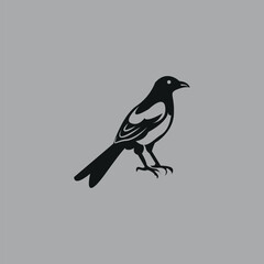 Magpie bird hand-drawn design by illustrator