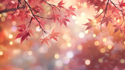 Bokeh background of autumn leaves and branches