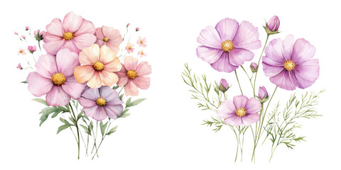 Fototapeta premium A vibrant arrangement of pink flowers with delicate petals and green foliage, showcasing a variety of blooms, white background, transparent background.