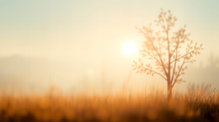 Fototapeta premium Silhouette of bare tree at sunrise in misty golden field with warm backlight