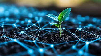 Innovative Concept of Plant Growth with Digital Technology and Network Connections in Nature