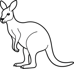 kangaroo vector illustration