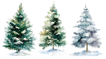 Obraz premium Set of Watercolor Christmas tree, isolated on a white background, Christmas tree painting. Merry Christmas