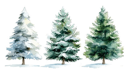 Fototapeta premium Set of Watercolor Christmas tree, isolated on a white background, Christmas tree painting. Merry Christmas