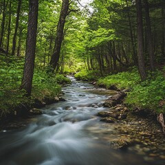 Obraz premium serene forest stream captured with long exposure, wide-angle lens for depth, natural light, and low angle view for tranquility