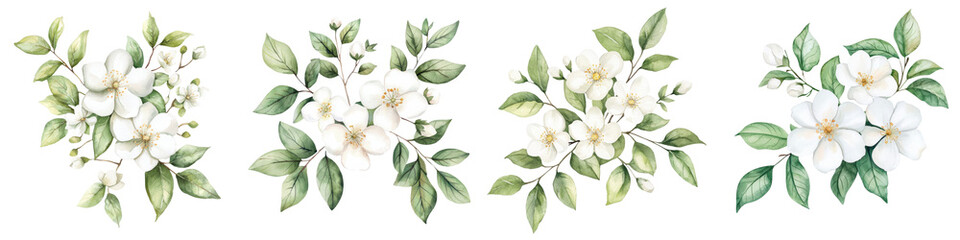 Fototapeta premium A collection of delicate white floral arrangements with lush green leaves, showcasing a variety of blooms and arrangements, white background, transparent background.