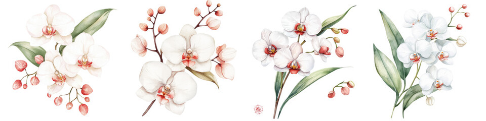 Naklejka premium Delicate white orchids with pink accents and green leaves arranged artistically, white background, transparent background.