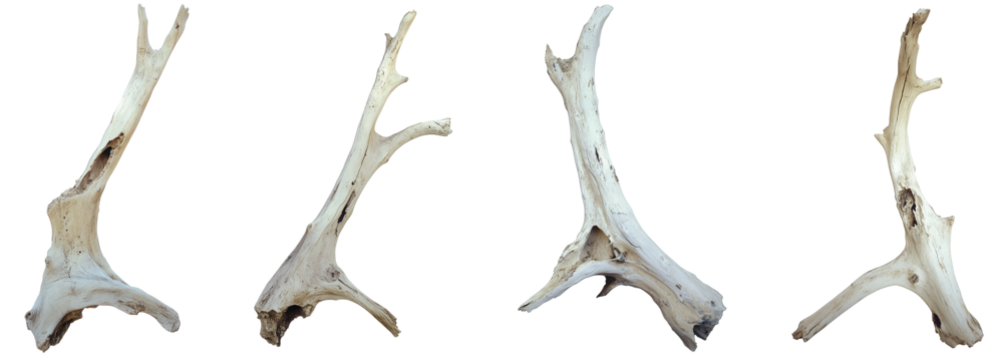 High-Quality PNG log Isolated on White Background – High Resolution