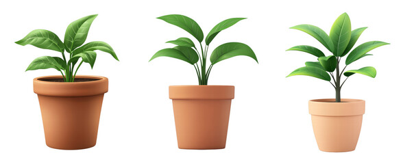 Obraz premium Lush indoor plants in decorative pots