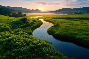 Obraz premium A river running through a lush green field next to a forest