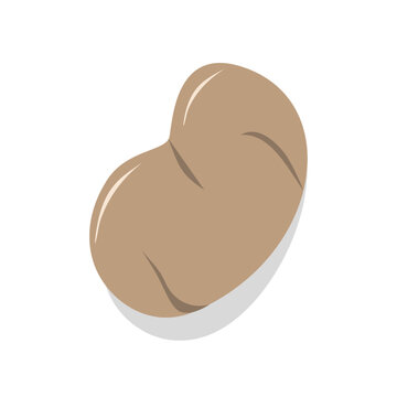 recommend clip art: Potato illustration. Potato element. Vegetable illustration. Vegetable element. Organic vegetable. Tubers vegetable.